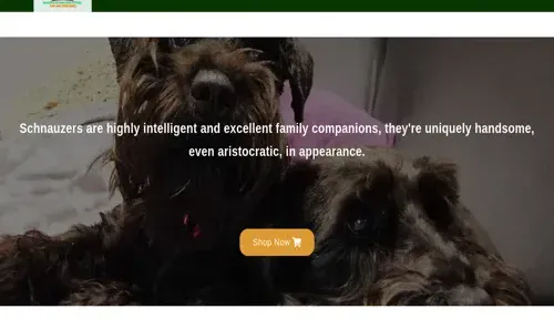 A screenshot of Genlanfamilystbernard.com
