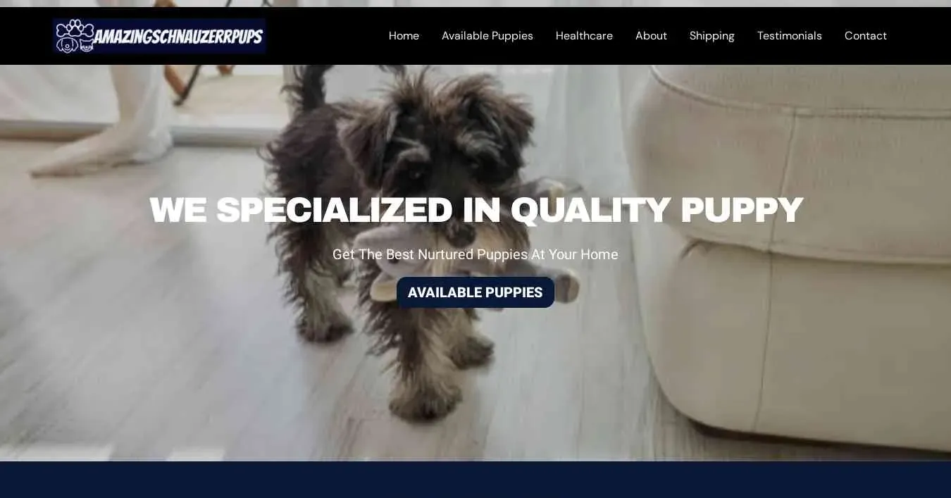 is amazingschnauzerrpupsforsale.com legit? screenshot