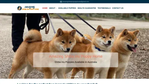 A screenshot of Amazingshibainupuppyhome.com
