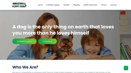 A screenshot of Amazingyorkshireterrierpuppyfarm.com