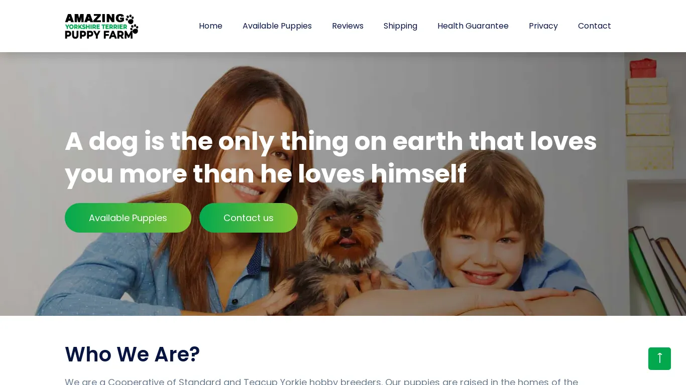 is Home | Amazing Yorkshire Terrier Puppy Farm legit? screenshot