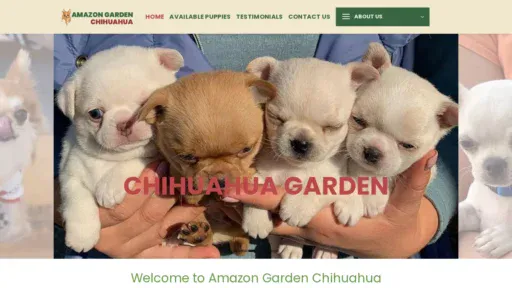 A screenshot of Amazongardenchihuahua.com
