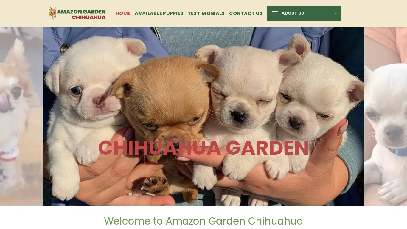 is Amazon Garden Chihuahua – Chihuahua puppies for sale legit? screenshot
