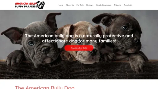A screenshot of Americanbullypuppyparadise.com