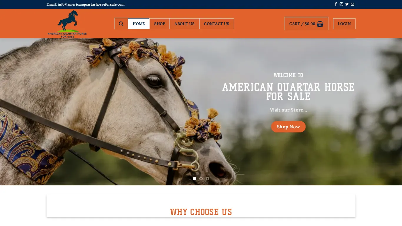 is americanquartarhorseforsale – americanquartarhorseforsale legit? screenshot
