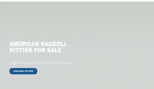 A screenshot of Genlanfamilystbernard.com
