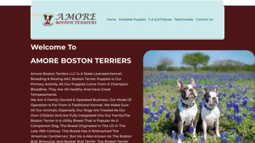 A screenshot of Amorebostonterriers.com