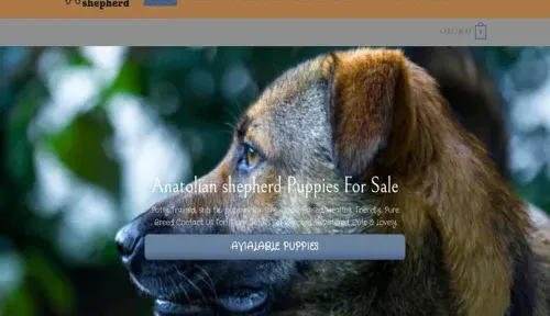 A screenshot of Genlanfamilystbernard.com