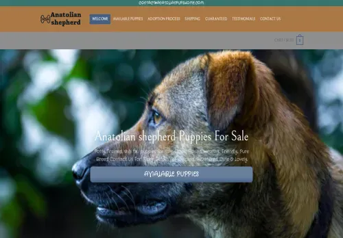 is anatolianpupshome.com legit? screenshot