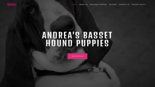 A screenshot of Andreasbassethoundpuppies.com