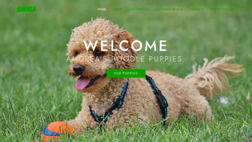 A screenshot of Andreaswpoodlepuppies.com