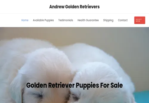 is andrewgoldensretrievers.com legit? screenshot