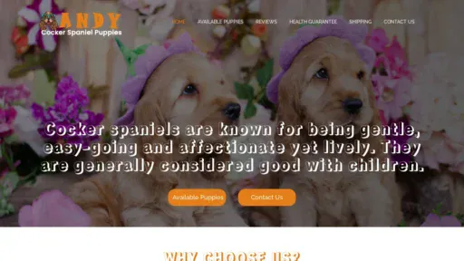 A screenshot of Andycockerspanielpuppies.com