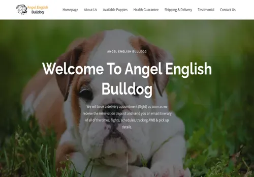 is angelenglishbulldog.com legit? screenshot