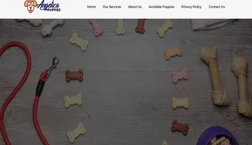A screenshot of Genlanfamilystbernard.com
