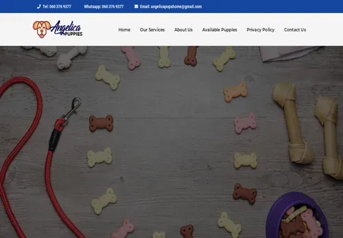 is angelicapuppies.com legit? screenshot