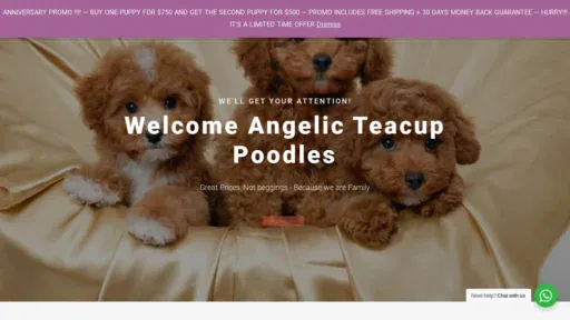 A screenshot of Angelicteacuppoodle.net