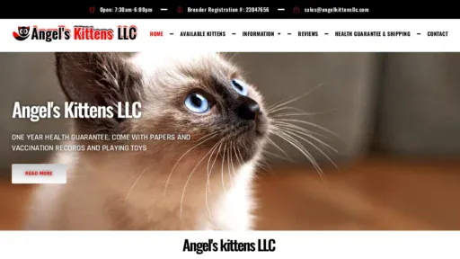 A screenshot of Angelkittensllc.com