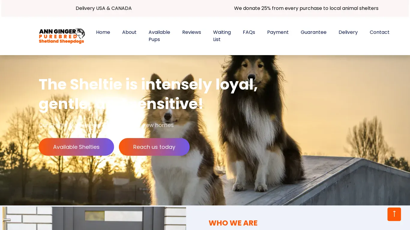 is anngingerpurebredshetlandsheepdogs.net legit? screenshot