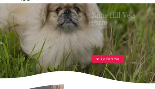 A screenshot of Genlanfamilystbernard.com