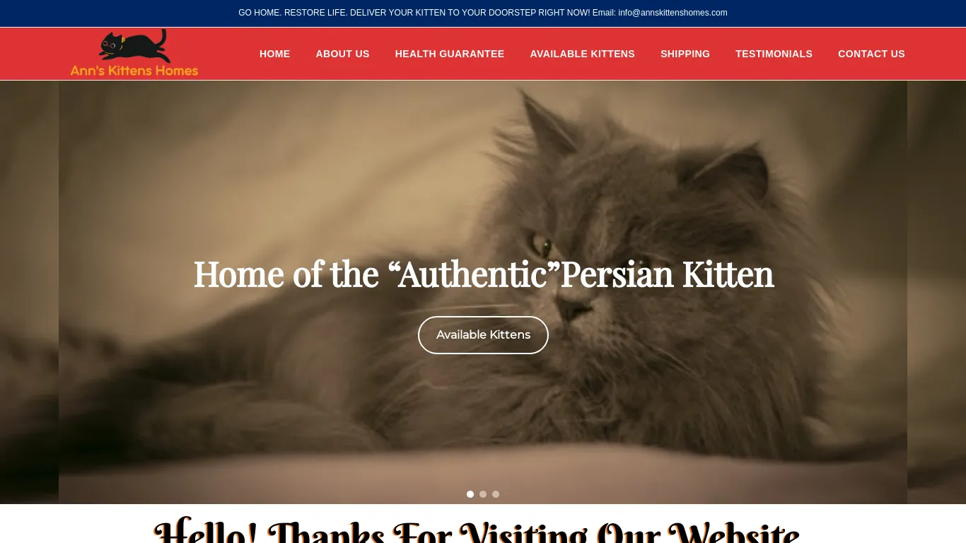 is annskittenshomes.com legit? screenshot