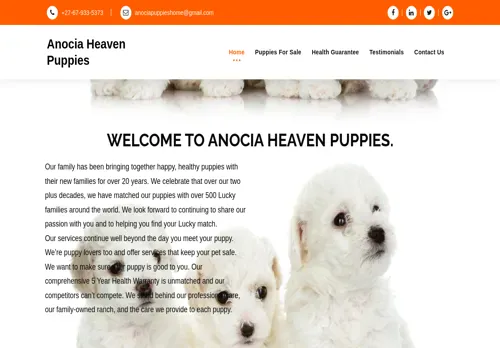 is anociaheavenpuppies.co.za legit? screenshot