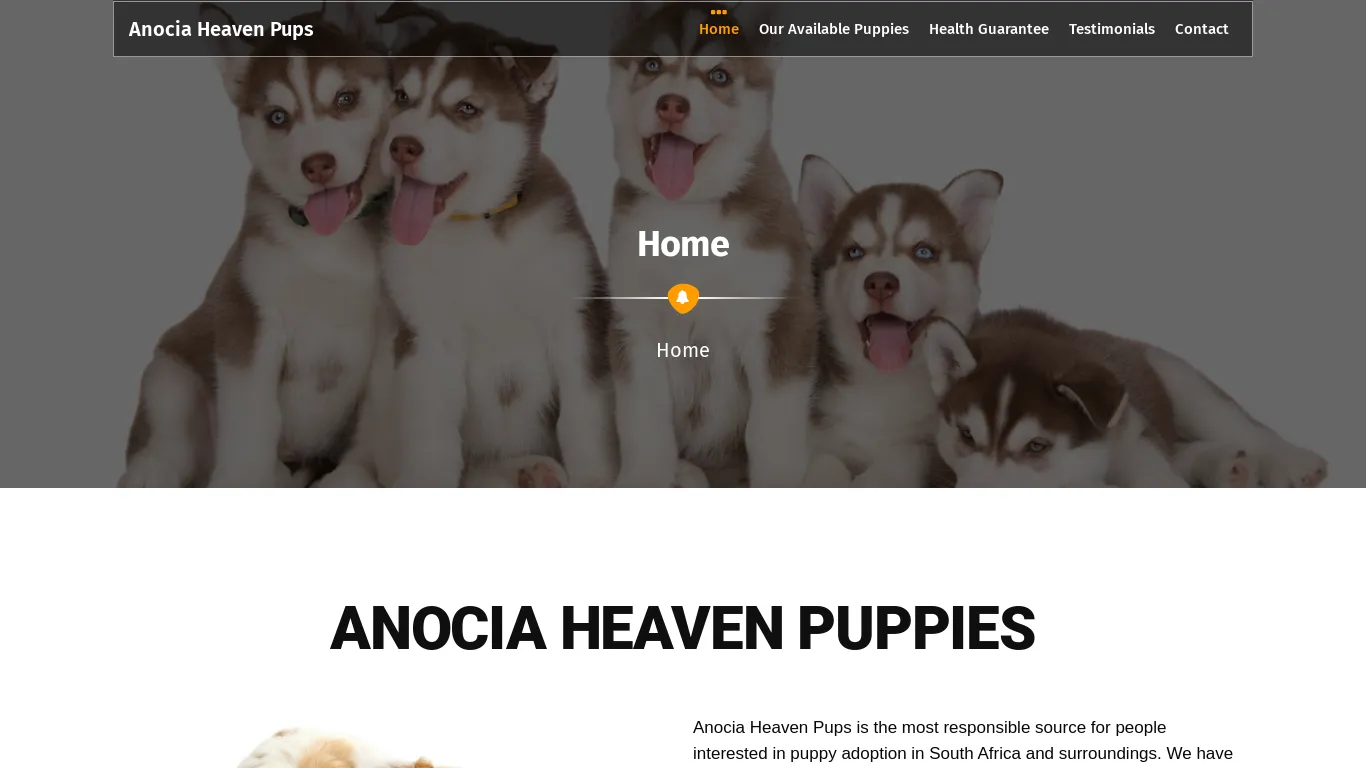 is anociaheavenpups.co.za legit? screenshot