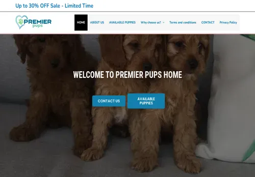 is anthonyjamesyorkiepuppieshome.com legit? screenshot