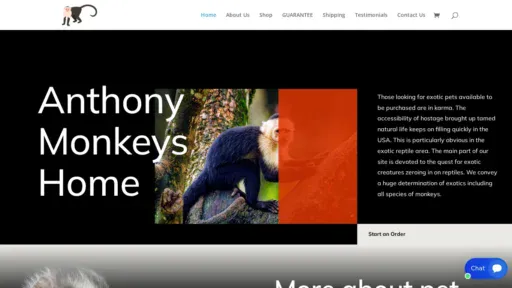 A screenshot of Anthonymonkeyhome.com