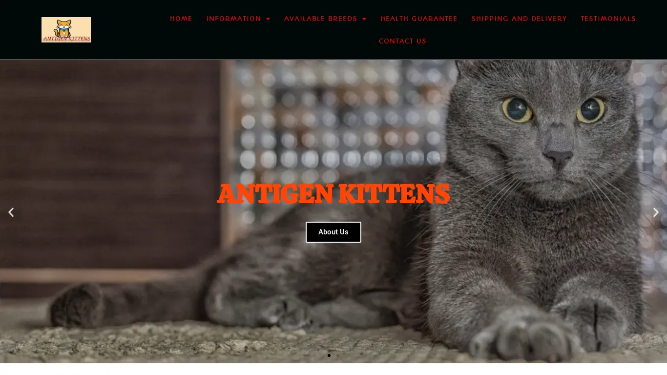 is antigenkittens.com legit? screenshot