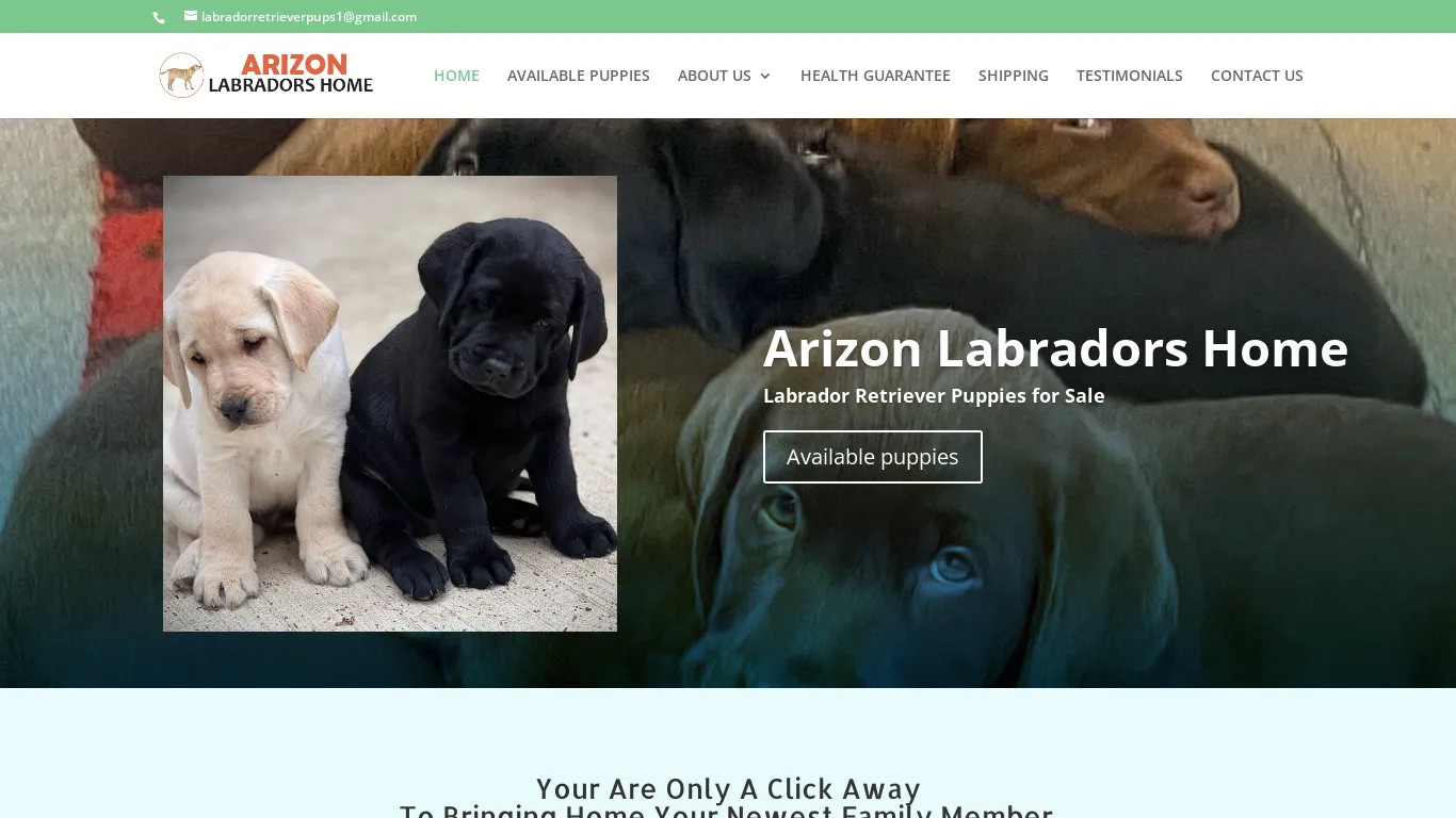is arizonlabradorshome.com legit? screenshot