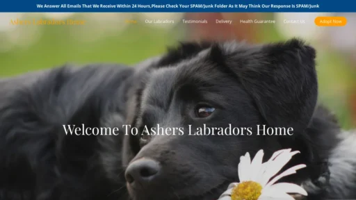 A screenshot of Asherslabradorshome.com