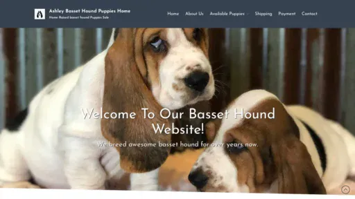 A screenshot of Ashleybassethoundpuppies.com