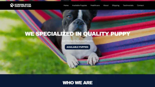 A screenshot of Astonishingbostonterrierpuppieshome.com