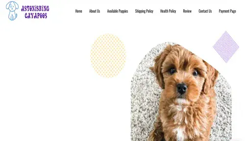 A screenshot of Genlanfamilystbernard.com