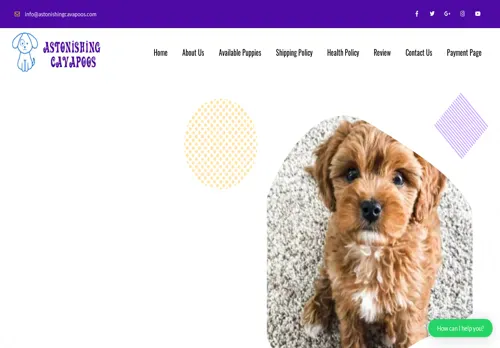 is astonishingcavapoos.com legit? screenshot