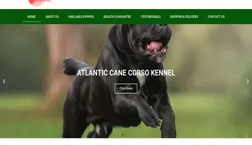 A screenshot of Genlanfamilystbernard.com