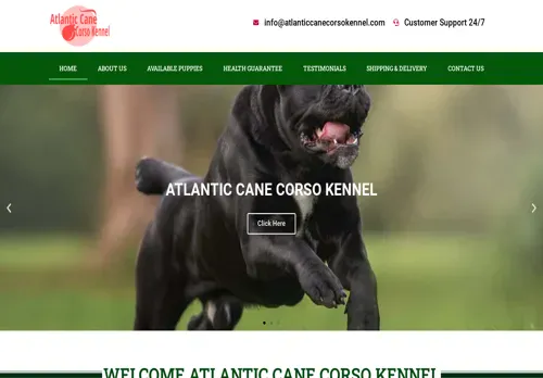 is atlanticcanecorsokennel.com legit? screenshot