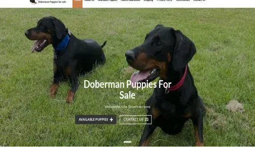 A screenshot of Genlanfamilystbernard.com