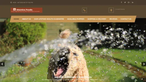 A screenshot of Attentivepoodle.com