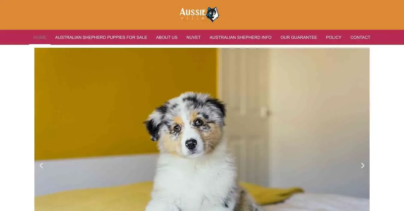 is aussie-ville.com legit? screenshot