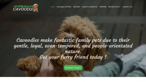 A screenshot of Australiancavoodle.com