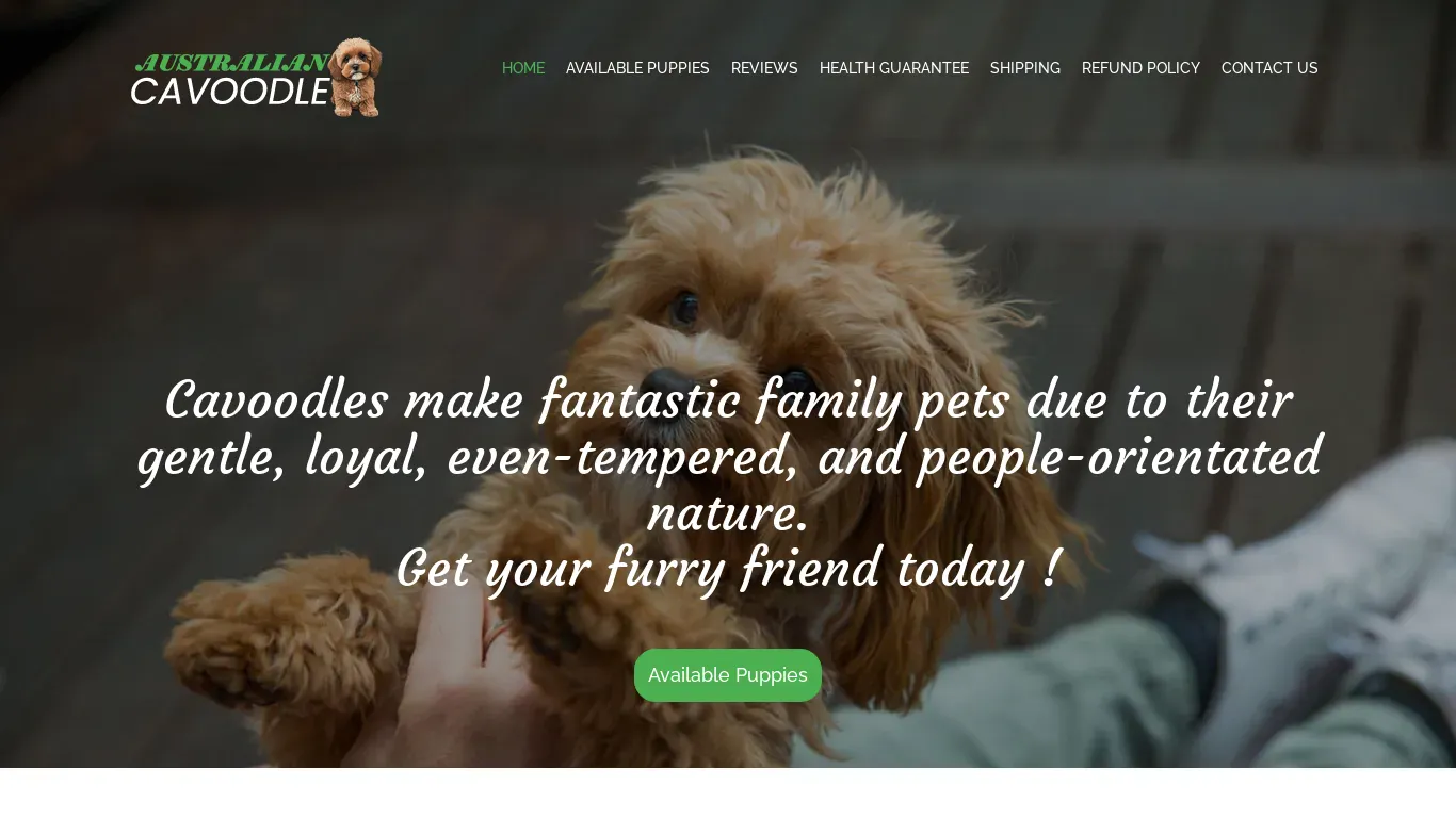 is Welcome - Australian Cavoodle legit? screenshot