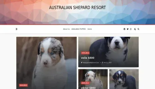 A screenshot of Genlanfamilystbernard.com