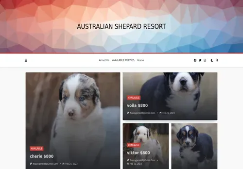 is australianshepardpuppiesforadoption.com legit? screenshot