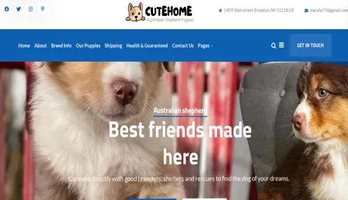 A screenshot of Genlanfamilystbernard.com