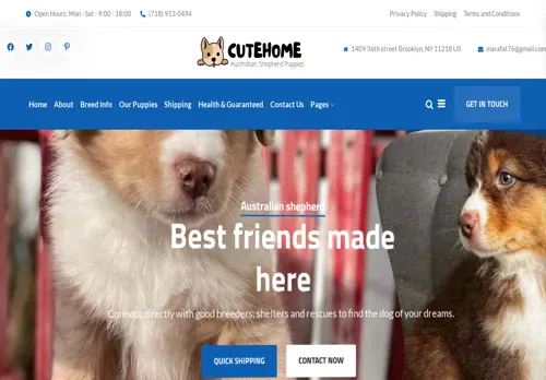 is australianshepherdhome.com legit? screenshot