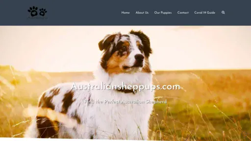 A screenshot of Australiansheppups.com