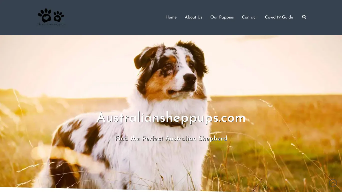 is australiansheppups.com legit? screenshot