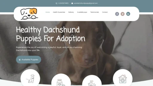 A screenshot of Autodachshundpuppy.com